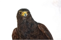 LE MONDE ANIMAL